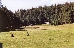 Ohaco Cabins across the pasture