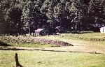 Ohaco Cabins across the pasture