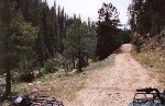 Getting out of Gentry Canyon