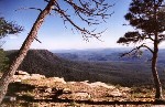 Mogollon Rim