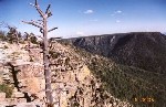 Mogollon Rim