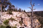 Mogollon Rim