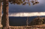 Mogollon Rim